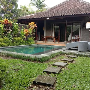  Villa Dedik House